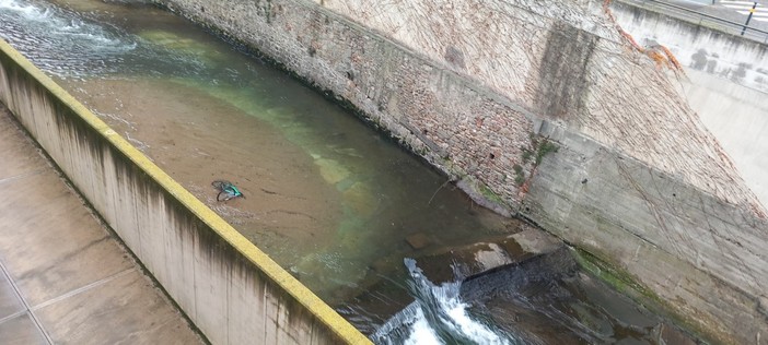 Piasco, curioso ritrovamento nel Rio Torto: una bicicletta affiora dall'acqua