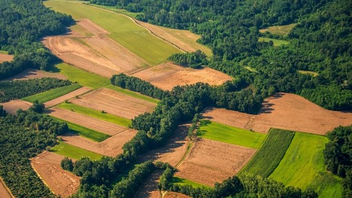 Le colline del Roero