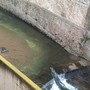 Piasco, curioso ritrovamento nel Rio Torto: una bicicletta affiora dall'acqua