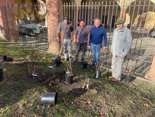 Da dx: l'architetto paesaggista Paolo Pajrone con il vicesindaco Aldo Perotto e i cantonieri del Comune durante la messa a dimora delle rose