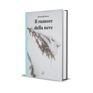 A Fossano si presenta il libro di Donatella Rosso &quot;Il rumore della neve&quot;