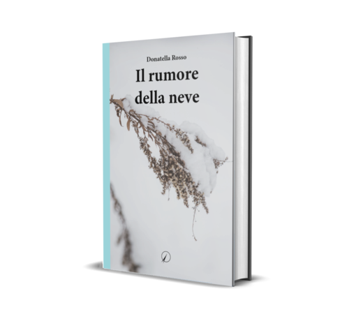 A Fossano si presenta il libro di Donatella Rosso &quot;Il rumore della neve&quot;