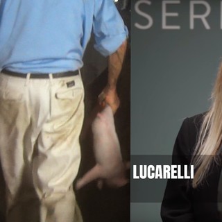 La denuncia di Selvaggia Lucarelli: &quot;In un allevamento di maiali della Granda maltrattamenti e violenze” [VIDEO]