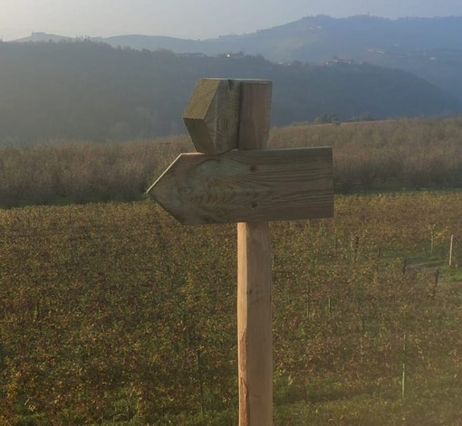 Tre comuni e 17 km tra vigne e centri abitati: domenica a Diano d'Alba si inaugura il &quot;Sentiero del Dolcetto&quot;