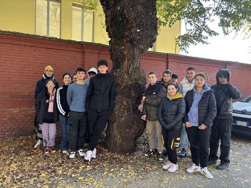 Gli studenti del Cillario segnalano un albero malato in via Nino Bixio: &quot;Pronti a collaborare col Comune&quot;