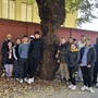 Gli studenti del Cillario segnalano un albero malato in via Nino Bixio: &quot;Pronti a collaborare col Comune&quot;