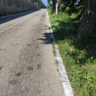 Estate, Cuneo rifà il look alle strade con qualche &quot;scivolone&quot;: in via Mistral vernice spruzzata sull'erba