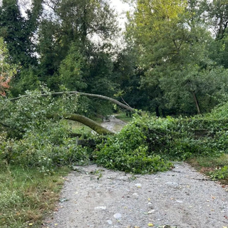 Alberi e rami sui sentieri: il maltempo blocca il Parco Fluviale Gesso e Stura