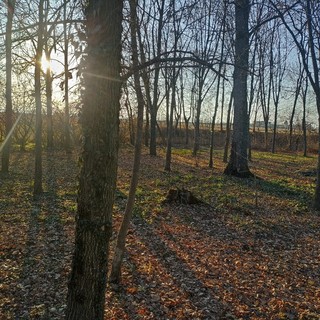 Racconigi: parte il progetto “Masca Theatron”, un anfiteatro Naturale nel sentiero del Maira