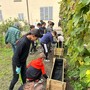 A Ceva gli studenti della scuola primaria si prendono cura dell'orto didattico