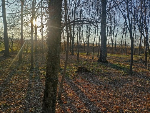 Racconigi: parte il progetto “Masca Theatron”, un anfiteatro Naturale nel sentiero del Maira