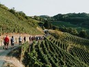 Santo Stefano Belbo, domenica 15 ottobre torna la “Passeggiata in rosa”