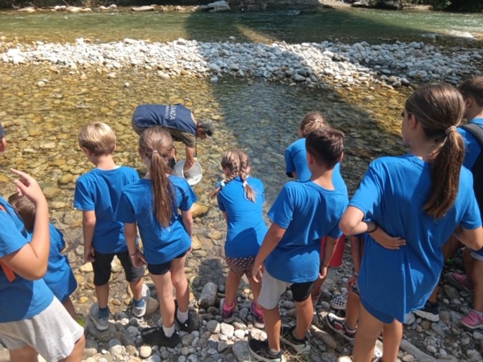 Nuovi lanci di piccole trote marmorate nel fiume Stura a Fossano