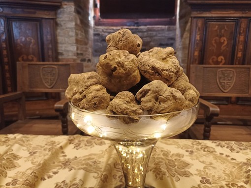 A Grinzane Cavour l'edizione 24 dell'Asta Mondiale del Tartufo Bianco [VIDEO]