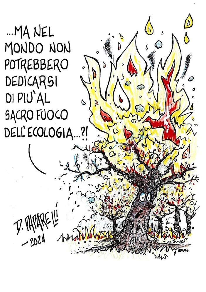 Gli incendi... e il sacro fuoco dell'ecologia