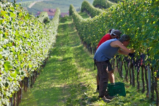 Attiva da oggi l’ordinanza “anti caldo” della Regione: stop al lavoro pomeridiano se il caldo è troppo forte