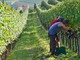 Attiva da oggi l’ordinanza “anti caldo” della Regione: stop al lavoro pomeridiano se il caldo è troppo forte