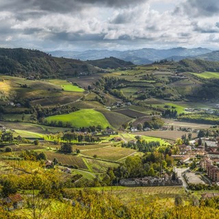 I vigneti dell'Alta Langa