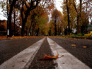 Il viale degli Angeli di Cuneo