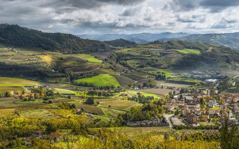 I vigneti dell'Alta Langa