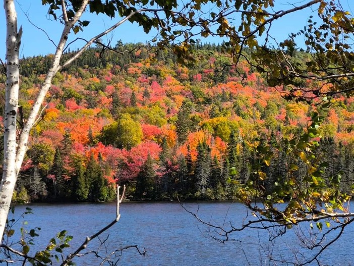 Foliage a Torino (foto di Valerio Minato), in Quebec (foto di Ivana Baudino) e in Francia (foto di Agostino Angeli)