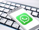 L'informazione della provincia di Cuneo sempre con voi: ecco il nostro nuovo canale WhatsApp con TargatoCn e LaVoceDiAlba