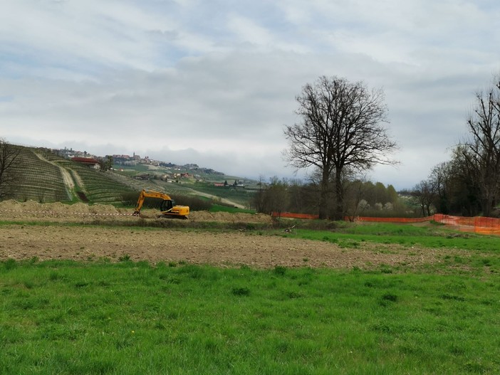 Le ruspe al lavoro in zona Parea nel Comune di Grinzane Cavour