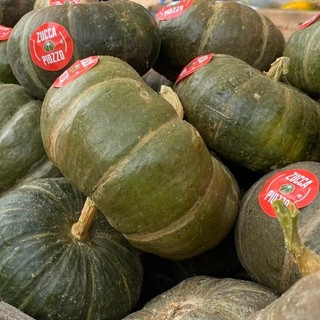 La Zucca Piozzo® entra nell’Arca del Gusto di Slow Food