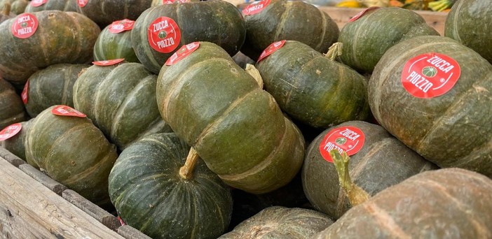 La Zucca Piozzo® entra nell’Arca del Gusto di Slow Food