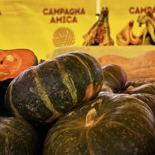 Halloween in tavola, Coldiretti Cuneo: 15 milioni di zucche importate, sicurezza alimentare a rischio