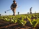 La biodiversità agroalimentare: scienza di oggi, storie di ieri