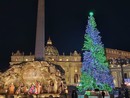 Acceso l'albero donato dal Piemonte a Papa Francesco. Il governatore Cirio porta la letterina dei bimbi della Val Maira