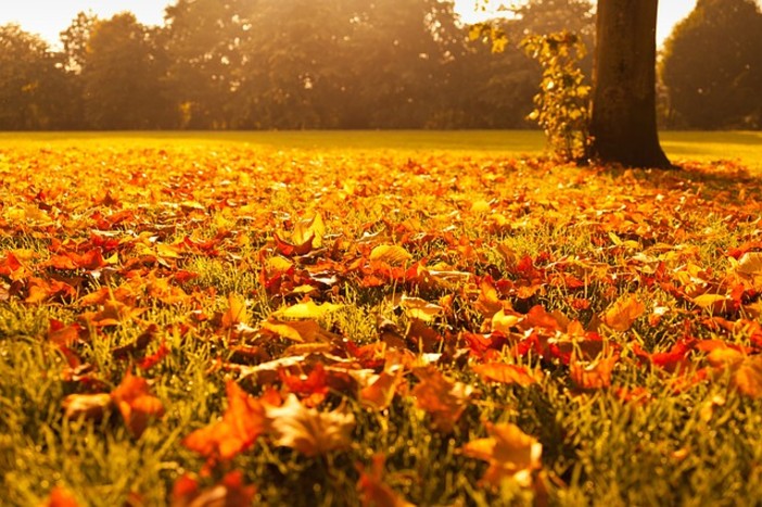 L'autunno in Piemonte? Più caldo della media, soprattutto nel mese di settembre