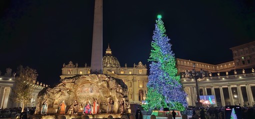 L’albero di Macra protagonista del Natale in piazza San Pietro: un libro racconterà l’incredibile esperienza