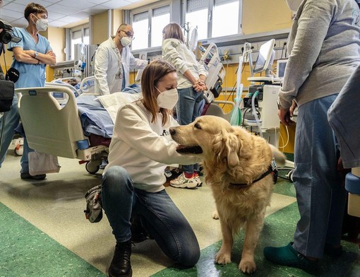 Compie dieci anni ASLAN, associazione che porta la pet therapy negli ospedali