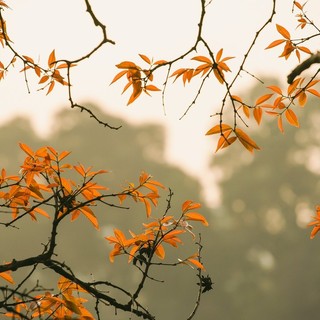 Settimana autunnale: fase di instabilità, con cielo grigio e temperature sotto la media