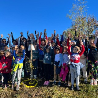 Trecento bambini delle scuole dell'Oltregesso piantano alberi per far crescere il Bosco di Camilla [FOTO e VIDEO]