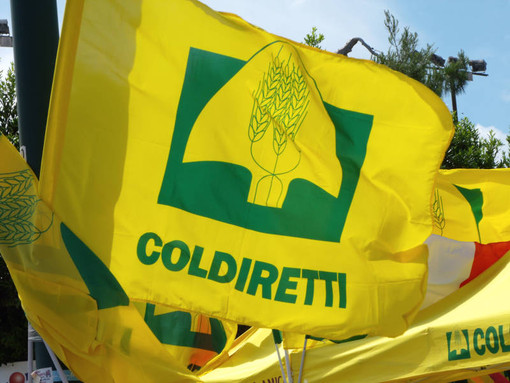 Da Cuneo a Parma per la manifestazione di Coldiretti in difesa della salute degli italiani