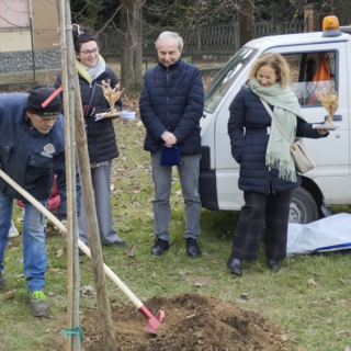 Bra ha celebrato la Festa dell’Albero