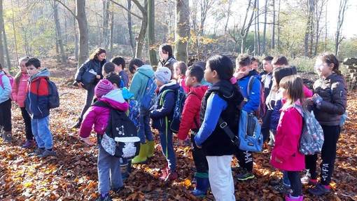 Gli alunni della Scuola Primaria di Prunetto diventano custodi  del mondo delle api