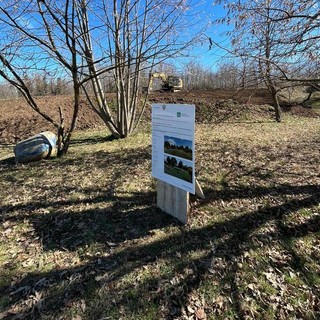 Un luogo vivo, che possa crescere: a Cuneo si inaugura &quot;Il bosco di Camilla&quot;