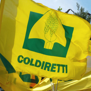 Successione ereditaria, Coldiretti Cuneo: incontri a Bra e Alba per imprenditori agricoli e pensionati