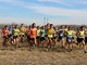 (la partenza del cross lungo maschile, prova di volpiano) foto GAV/Bizioli - sito fidal piemonte