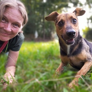 Mondovì, torna il corso di formazione &quot;Capire il cane&quot;