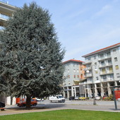 Piazza Europa a Cuneo