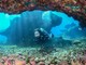 Scopri il mondo sottomarino: guida alle crociere diving