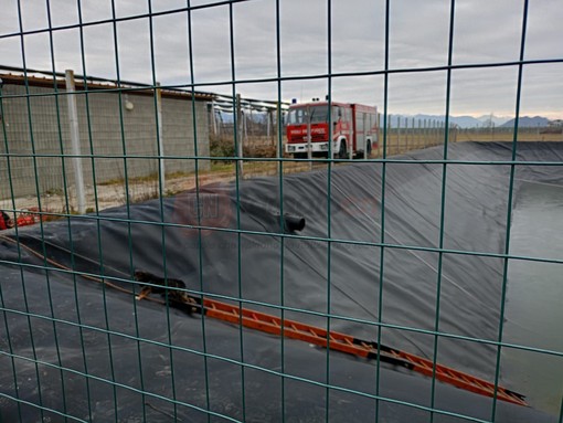 Due cagnolini cadono in un lago artificiale a San Martino di Barge: intervento dei vigili del fuoco