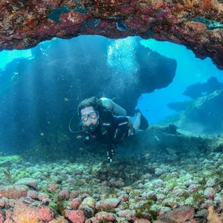 Scopri il mondo sottomarino: guida alle crociere diving