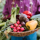 Il Comizio Agrario organizza il seminario “Fertilità e biodiversità nell’orto agroecologico”