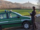 Carabinieri forestali: nel 2023 centinaia di illeciti amministrativi e sanzioni per 870 mila euro